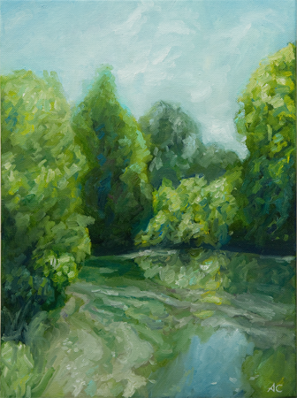 Barton Springs II by artist Alyssa Creagh